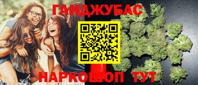 спайс Будённовск