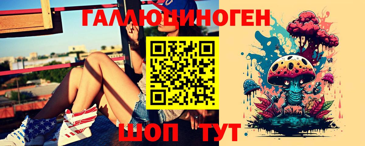 Галлюциногенные грибы Psilocybe  Вход с VPN  Углич 