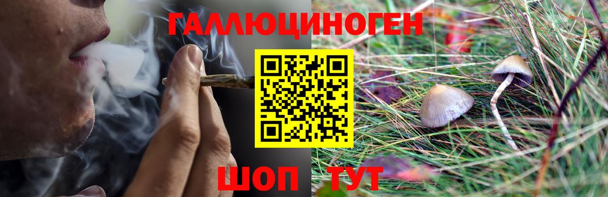 Псилоцибиновые грибы Magic Shrooms Углич