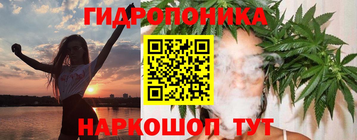 Марихуана сатива  МАРИХУАНА план  Углич  Вход с VPN  Бошки Шишки LSD WEED 